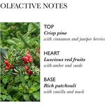 Molton Brown Jubilant Лосьон для тела с сосной и пачули 300 мл - фото 2