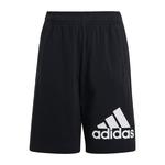 Обычные брюки ADIDAS SPORTSWEAR Essentials Big Logo, черный - фото