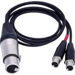 AUDIOROOT AXLR5F2YT3 XLR5F to Dual TA3F Balanced Audio - фото 2