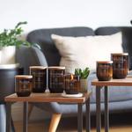 Большая обновленная свеча WoodWick Tomato Leaf & Basil - фото 3