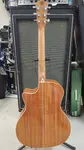 Washburn WG7SCE-A Новый Natural - фото 2