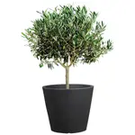 Цветочный горшок Scheurich «30/238 C-CONE 30», черный - фото 3