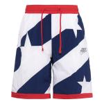 Шорты dri fit throwback usa мужские Nike, синий - фото