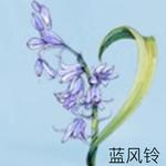 Perfumes Unisex Jo Malone London - фото 3