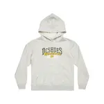 Детская толстовка DC Shoes Tailgate Ph, светло-серый - фото 5