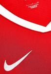 Топ Nike Performance TEAM SPIKE INDOOR , Rot/Red - фото 6