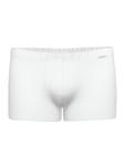 Ammann Боксеры 'Day Modern / Micro Modal' в белом цвете - фото