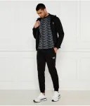 Футболка regular fit Ea7, черный - фото 2