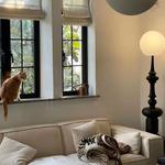 Торшер Division of Enterprises - фото 6