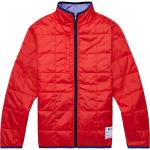 Куртка teca calido - для мальчиков Cotopaxi, цвет sandwich - фото 3