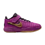 Кроссовки Nike LeBron 20 PS, Young Heirs - фото