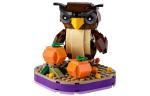 Набор совы на Хэллоуин 40497 LEGO, Owl 40497 - фото
