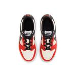 Кроссовки x nba dunk low emb Nike, черный - фото 4