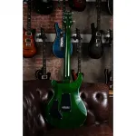 PRS S2 10-летие Custom 24 Eriza Verde - фото 12