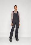 Лыжные брюки The North Face FREEDOM BIB, Black - фото