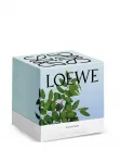 Свеча Candela в рубчик Loewe, синий - фото 3
