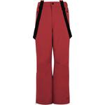 Сноуборд-Штаны Spiket Jr Protest, красный - фото