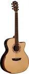 Washburn Wcg25 Sce O G25 Sce - фото