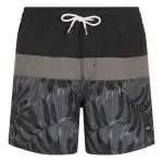 Шорты для плавания O´neill Cali Block 15´´, черный - фото