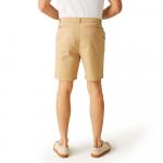 Спортивные шорты Regatta Sabden, бежевый - фото 2