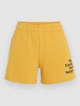 Шорты O'Neill Future Surf Society Shorts, golden haze - фото