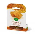 Гал, Защитная губная помада с прополисом - 4,3 г, Gal - фото