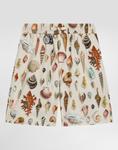 Бермуды из поплина с принтом ракушек Dolce&Gabbana, мультиколор - фото