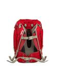Ergobag Рюкзак 'Pack Schulrucksack Set' в красном цвете - фото 5