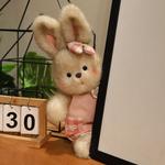 Enlightenment Плюшевая кукла Blue Tide Rabbit высотой 35см/50см - фото 4