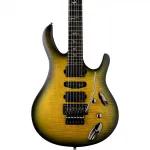 Электрогитара PRS SE Chleo Mantis Burst - фото