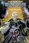 Batman Vol. 4: Dark Prisons (DC Comics) - фото
