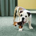 Теннисные туфли KONG Giraffe L С KONG - фото 2