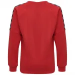 Толстовка Hummel Authentic Training, красный - фото 2
