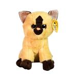 Крупные породистые котята DEEF - фото 4