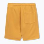 Мужские шорты Pitbull Lancaster 2 - фото 2