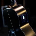 Акустическая гитара NEW!!! Washburn Deep Forest Ebony FE - DFEFE-A-U - фото 3