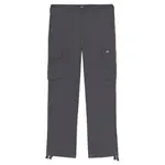 Брюки карго Dickies Eagle Bend, серый - фото