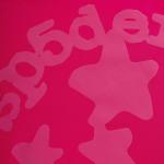 Лонгслив Sp5der Beluga Longsleeve, Pink - фото 3