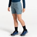 DARE 2B Мелодичные женские шорты - фото 2