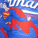 Супермен DC Comics Боксерские плавки для мальчиков Sun City - фото 4