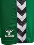 Шорты игривые шорты для взрослых HUMMEL - фото 3