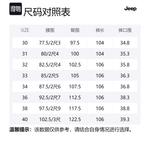 Повседневные брюки мужские Jeep, хаки - фото 10