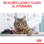 Корм для взрослых кошек Royal Canin Appetite Control Care для контроля аппетита 3,5 кг - фото 7