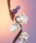 Дезодорант-карандаш Sol de Janeiro Cheirosa 59 Rio Deo Refill, 57g - фото 6