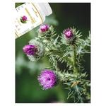 Natural Herbs, Экстракт расторопши, 120 капсул. Inna - фото 7