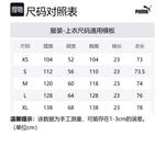 Футболка Porsche Design PL Statement Graphic Tee мужская tan PUMA, Tan - фото 2