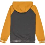 Толстовка Quiksilver Knowledge Area full zip, желтый - фото 2