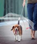 Зонт Freedog 45см 45 см Freedog - фото