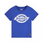Детская футболка Dickies, голубой - фото 27