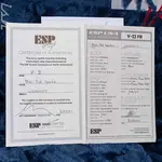 ESP USA V2-FR Диско Розовый Блестящий - фото 12